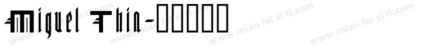 Miguel Thin字体转换